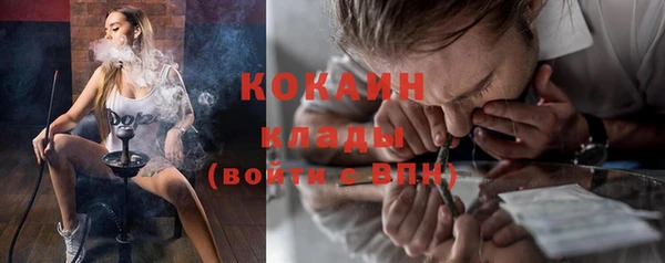 стаф Балахна