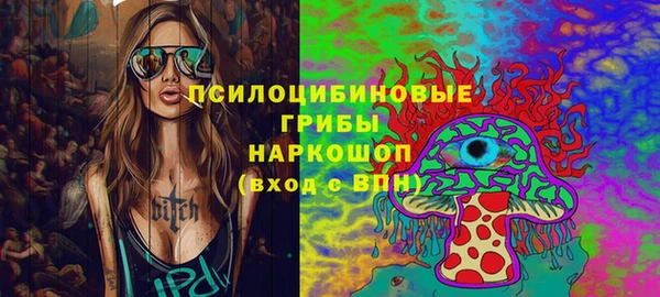 стаф Балахна