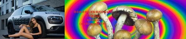 стаф Балахна