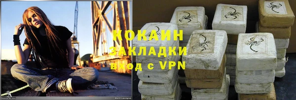 стаф Балахна