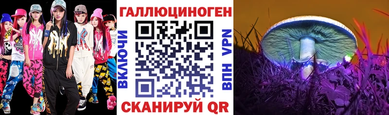mega как зайти Дальнегорск Псилоцибиновые грибы Cubensis купить